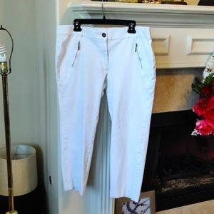 Alfani Pants Size 16